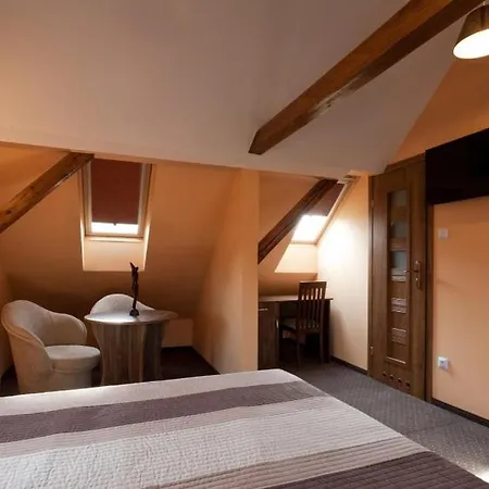 홈스테이 Hotelik Villa *